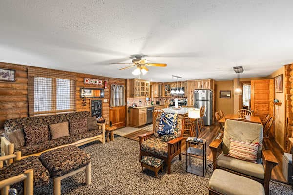 Living and Kitchen Area