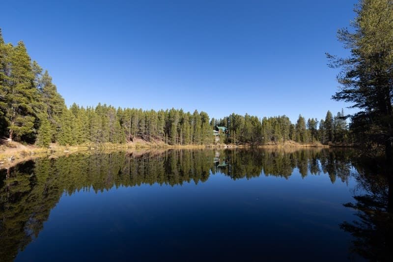 2BR Cabin–Deck Lake View & Access–BBQ, Pets OK!