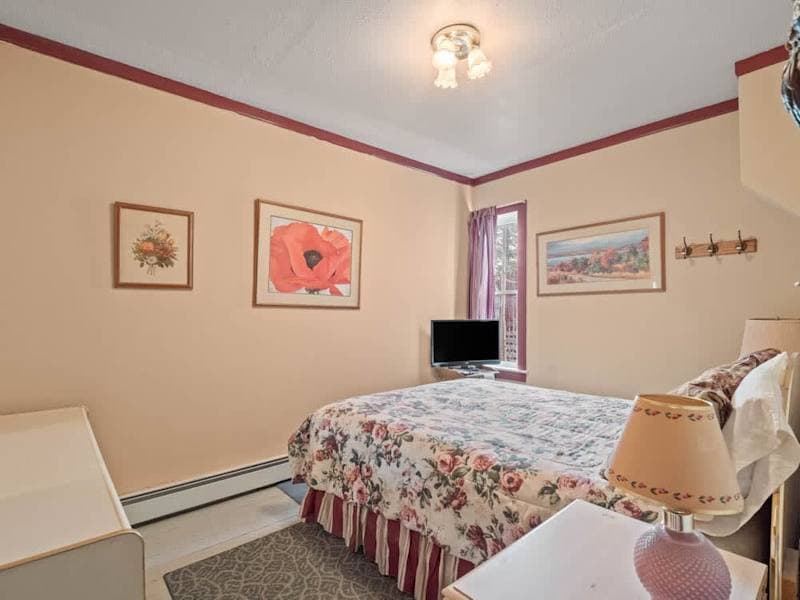 The Painted Lady — Historic Leadville 4BR