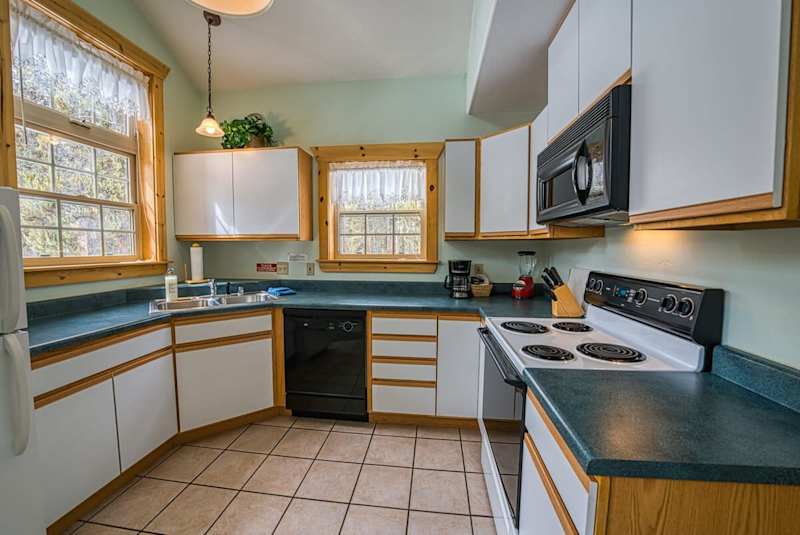 1BR w/ Loft Cabin: Fireplace & Mountain View