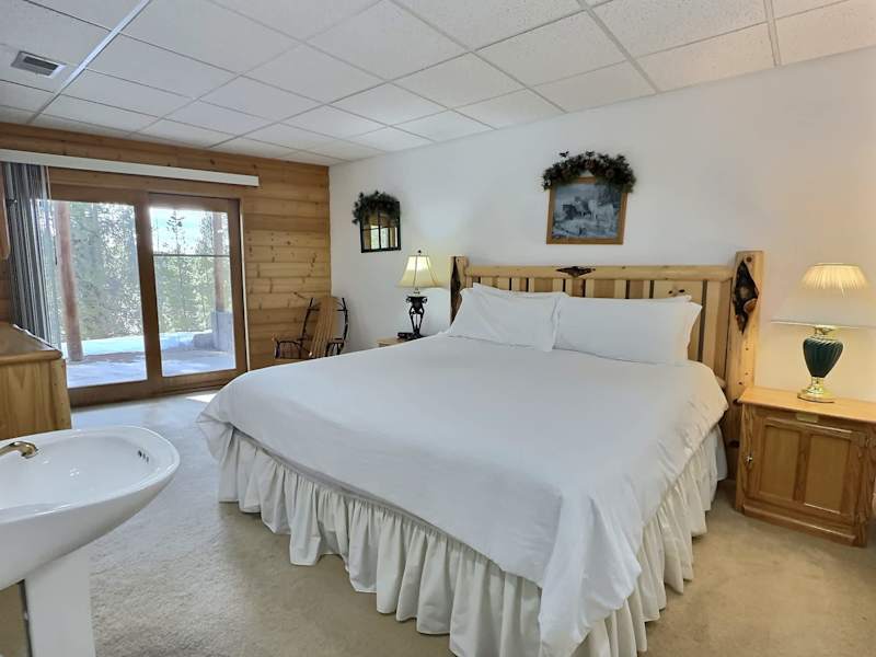 Mountain Log Cabin on 6 Acres — Leadville