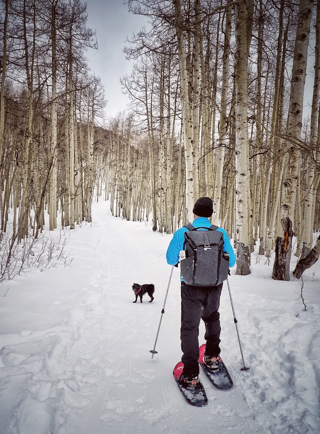 Snowshoeing