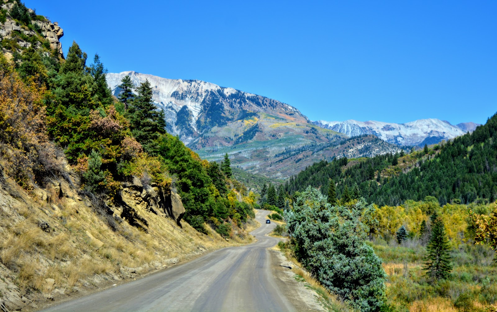 Scenic Drives