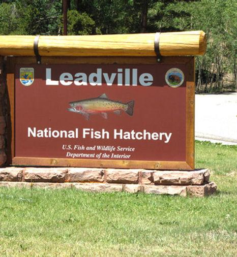 Fish Hatchery