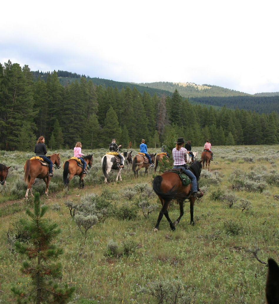 Horseback Riding